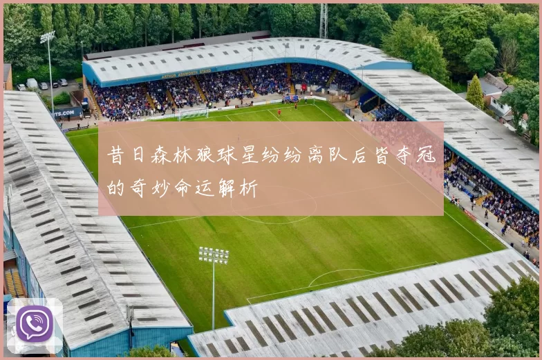 昔日森林狼球星纷纷离队后皆夺冠的奇妙命运解析